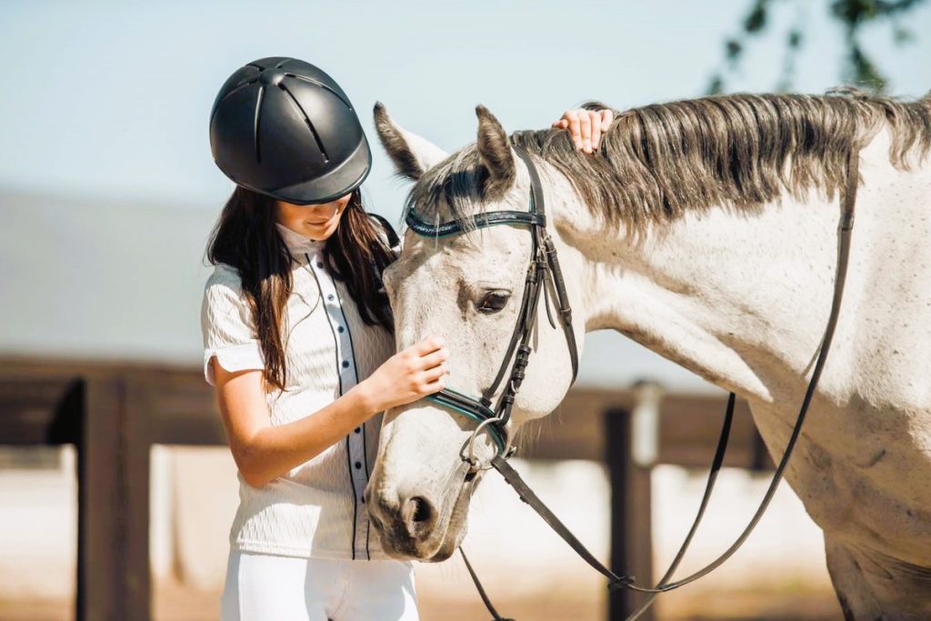 exercice preparation cheval