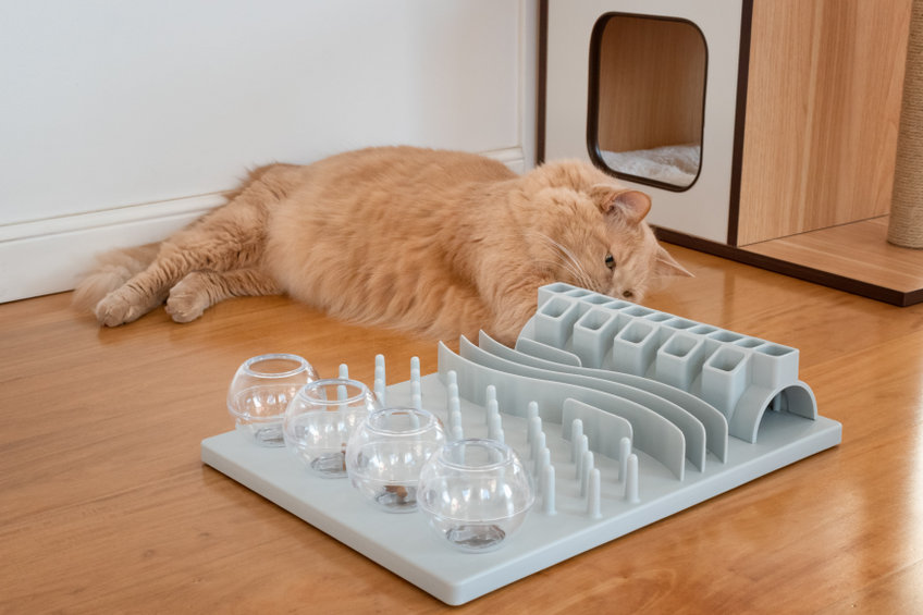 croquettes chat
